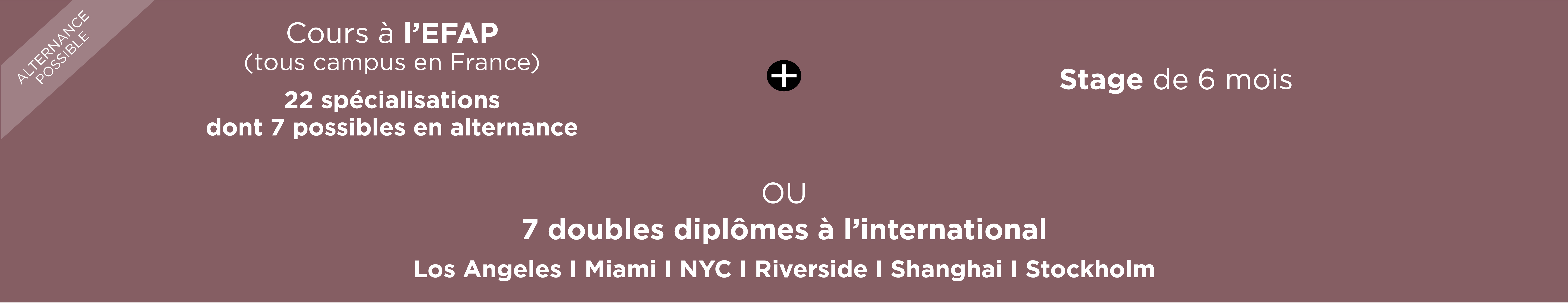 Schéma des études EFAP : formation communication année 5