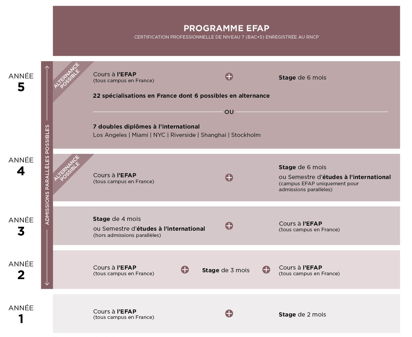 Schéma des études formation communication EFAP