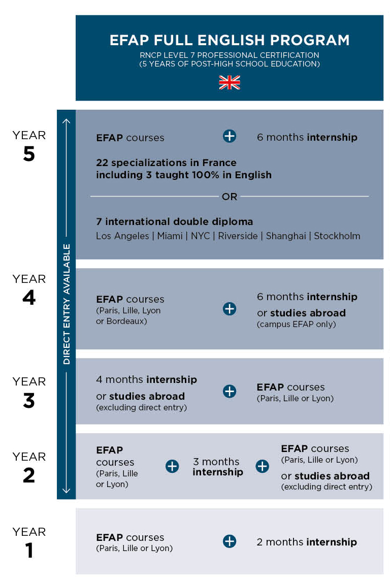 Schéma des études formation communication full english EFAP