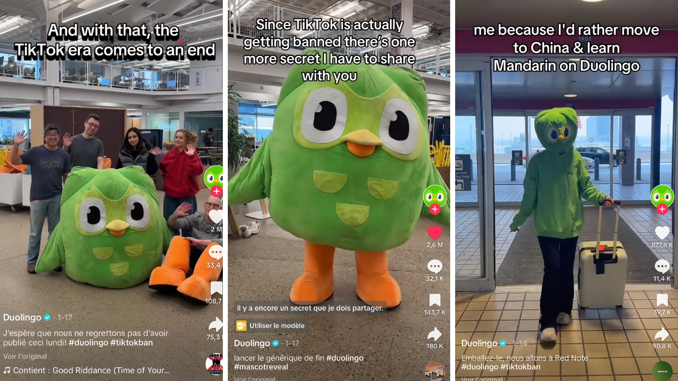 Fermeture de tiktok : duolingo